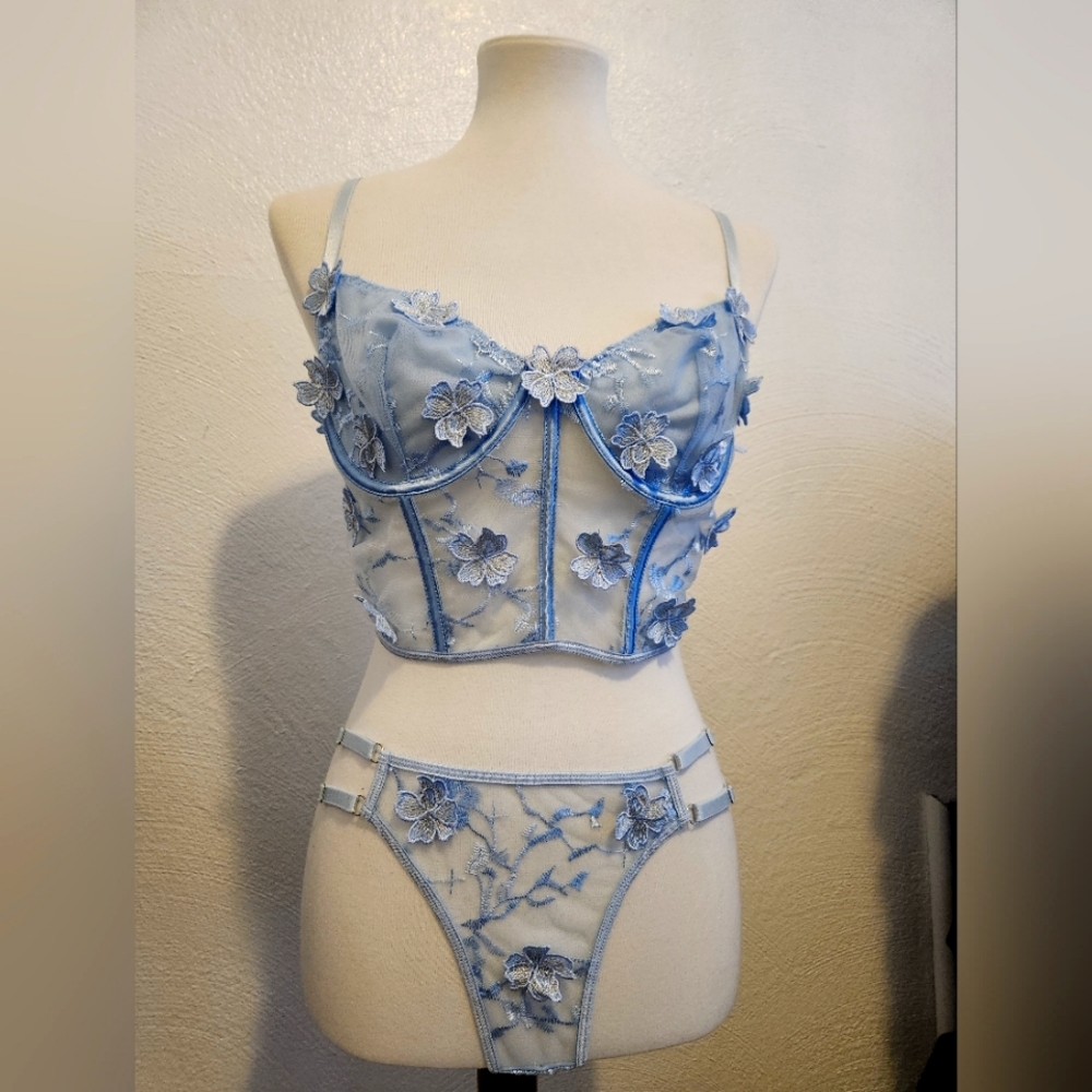 NWOT Bustier and Panties Large